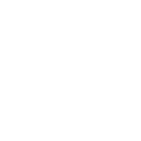 Link Icon